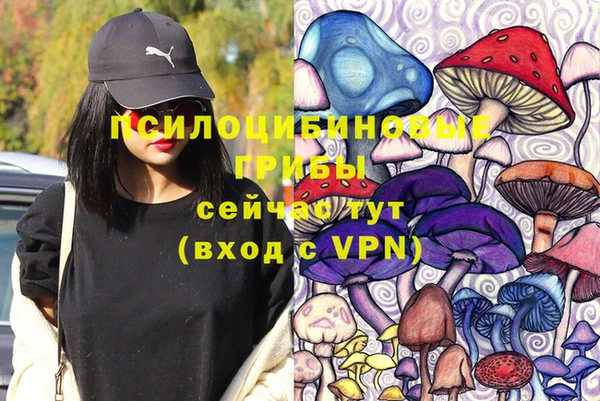 apvp Заводоуковск