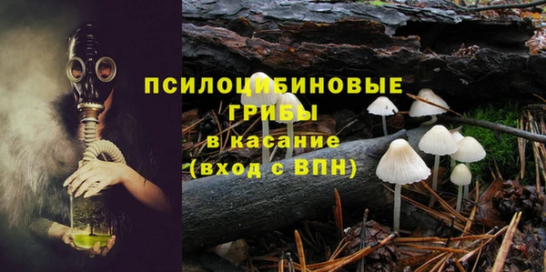 apvp Заводоуковск